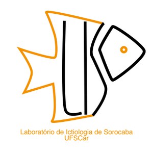 Logotipo de laboratório, elaborado pela CCS/UFSCar